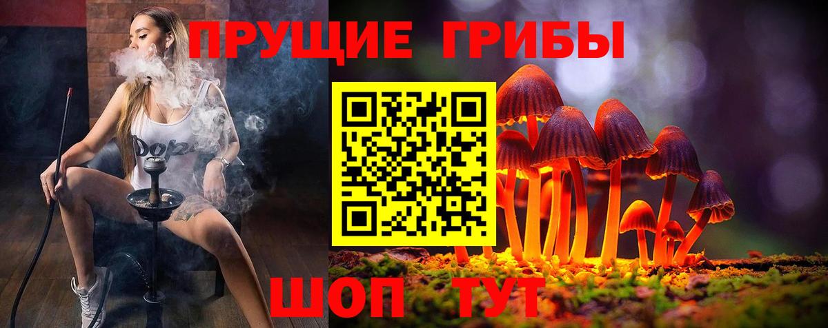 Псилоцибиновые грибы Psilocybine cubensis  Вход с VPN  Вязники  Галлюциногенные грибы мухоморы 